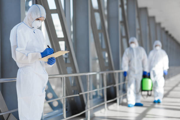 Best Mold-Related Health Consultation  in Funny River, AK