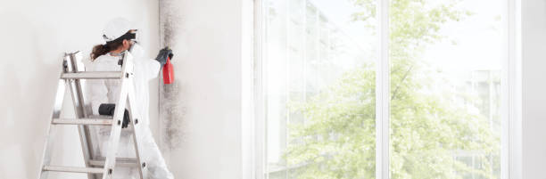 Best Post-Construction Mold Inspection  in Funny River, AK